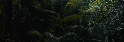banner origins03