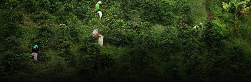 banner duurzaamheid v4