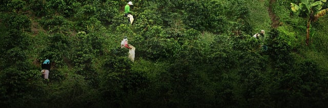 banner duurzaamheid v4